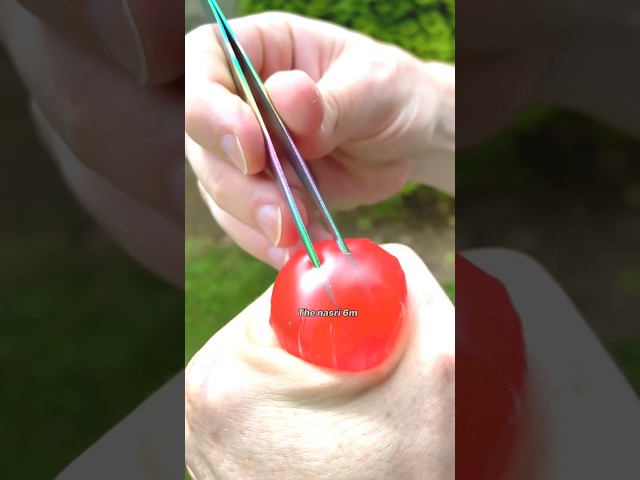 Life Lessons You Must Know 😎🗿 | @thenasri6m #Education #LifeLessons #Motivation #Shorts