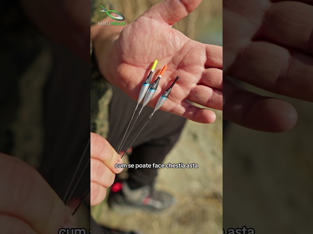 Daca pescuiesti la pluta, Anelin are un truc pentru tine! 🎣
