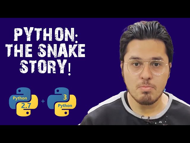 Python Programming and snake 🐍