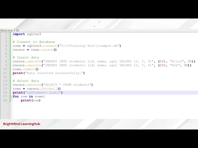 SQLite with Python: Insert, Select & Manage Data - Full Tutorial for Beginners!