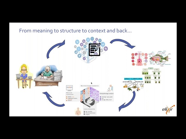 Giving data context structure and meaning