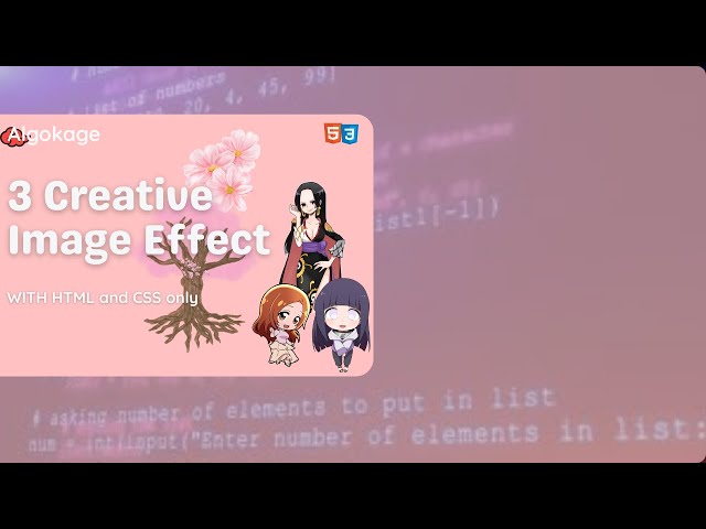 Creative Image Effect Using HTML & CSS | Modern Hover Animation Tutorial