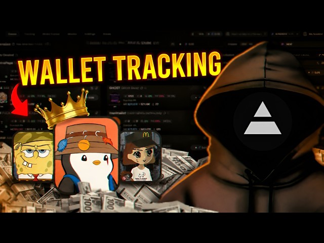 Best Wallets To Track While Trading MEMECOINS 