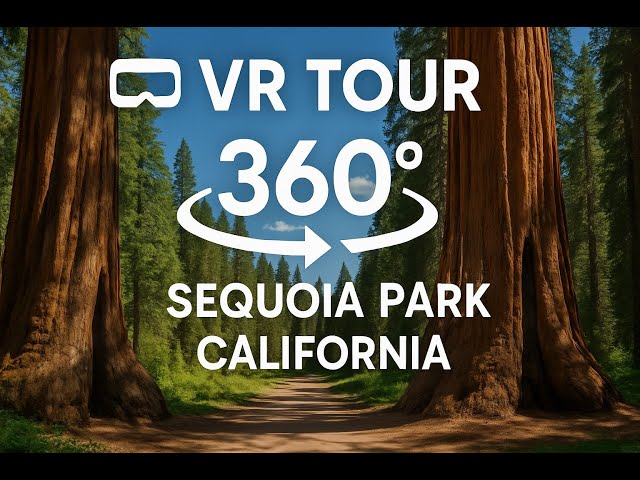 VR Tour 360 Travel to Sequoia National Park 2025 California 8K