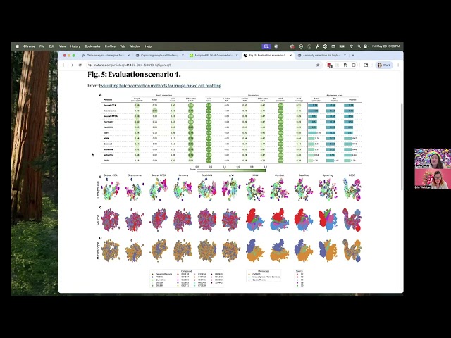 Cell Painting Feature Transformations - AskErinDearBeth Episode 36