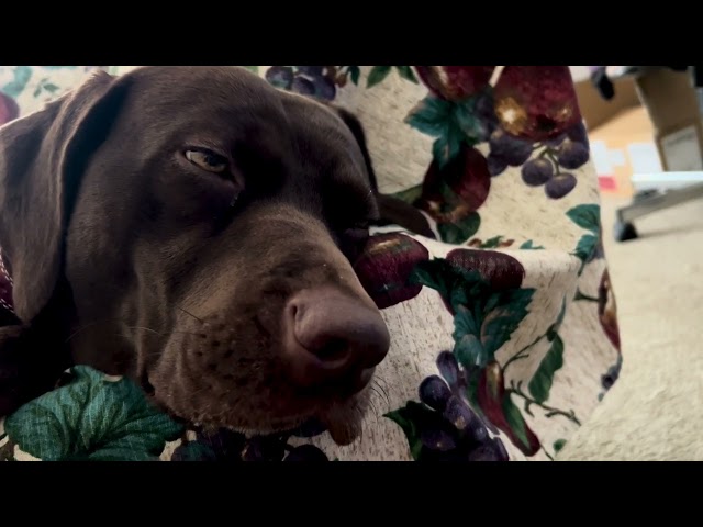 Gica, you are the best friend Reese could  have.and one of the kindest people in our YouTube family