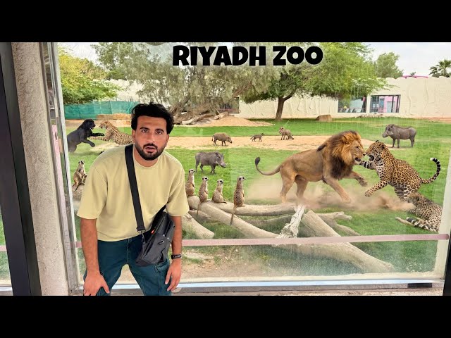 Hum Riyadh Zoo Agaiy ❤️ ||Saudia Arabia||