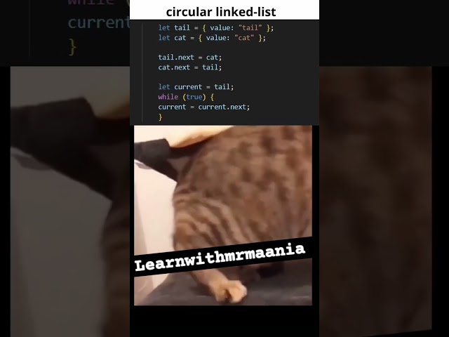 Circular link list #coding #frontendcourse #webdesign #python #uidesignlearning #webdev #html5