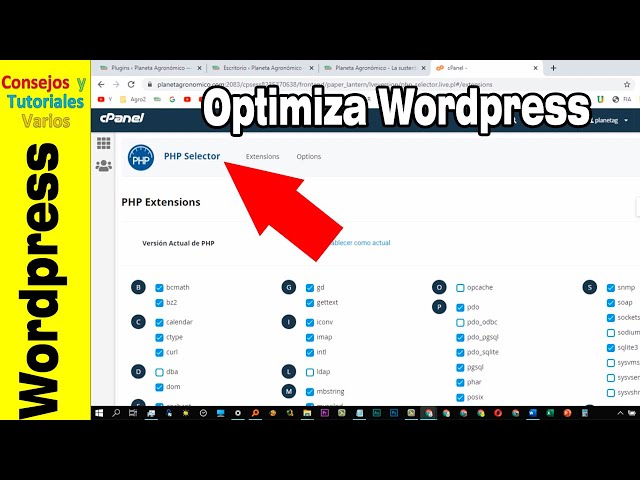 Optimiza tu Sitio Web: Plugins y PHP 💻 en WordPress