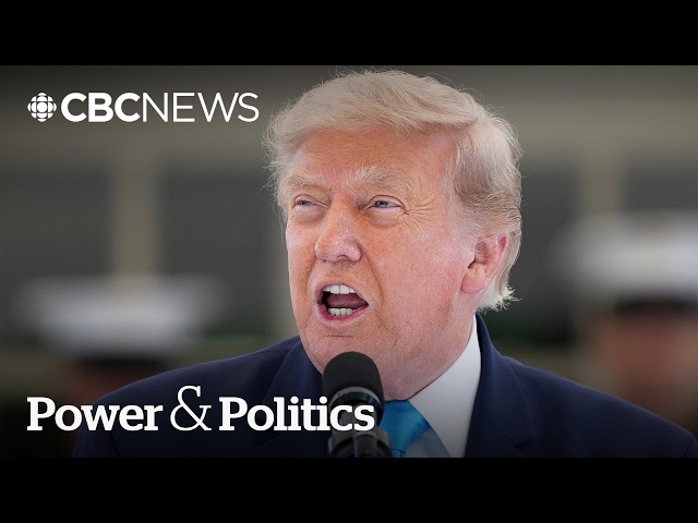 Why does Trump keep attacking Canada? | Power & Politics