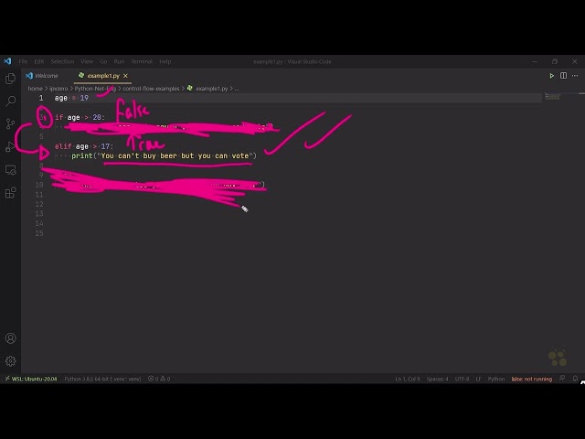 24  Conditional Statements   Python for Network Engineers   CBT Nuggets