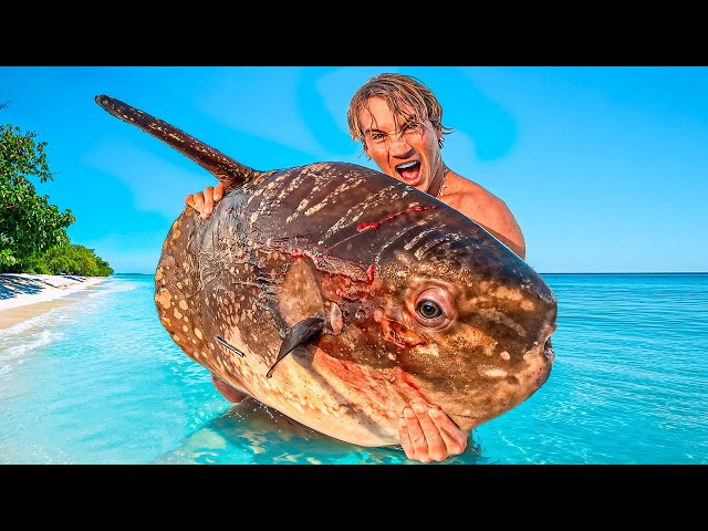 Giant SUN Fish Catch and Cook Living From The Ocean