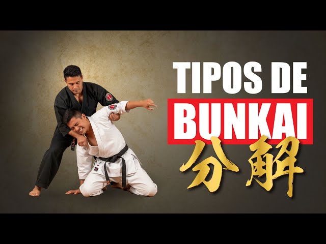 🥋 BUNKAI in KARATE: Discover the HIDDEN SECRET of KATAS