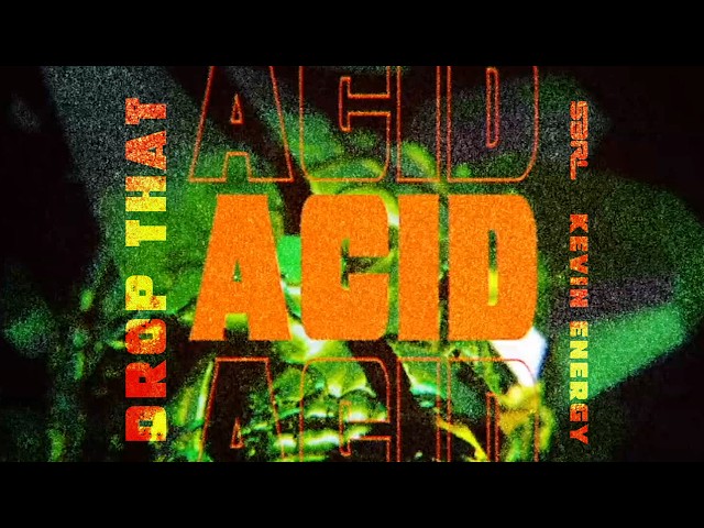 Drop That Acid - S3RL & Kevin Energy