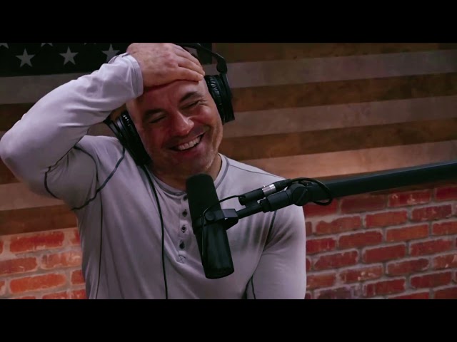 13 Best Moments From Joe Rogan's Podcast With Naval Ravikant