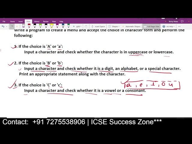 Menu Program - Check Uppercase/Lowercase, Digit/Alphabet/Special Character, Vowel/Consonant | ICSE