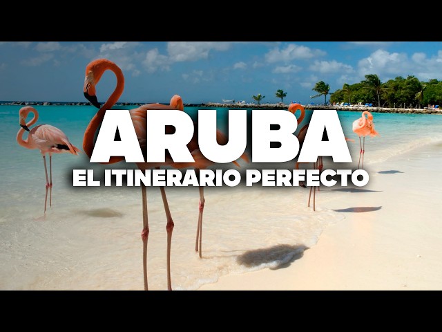 ¡El Itinerario Más COMPLETO de ARUBA! Con Precios y Día a Día Detallado.
