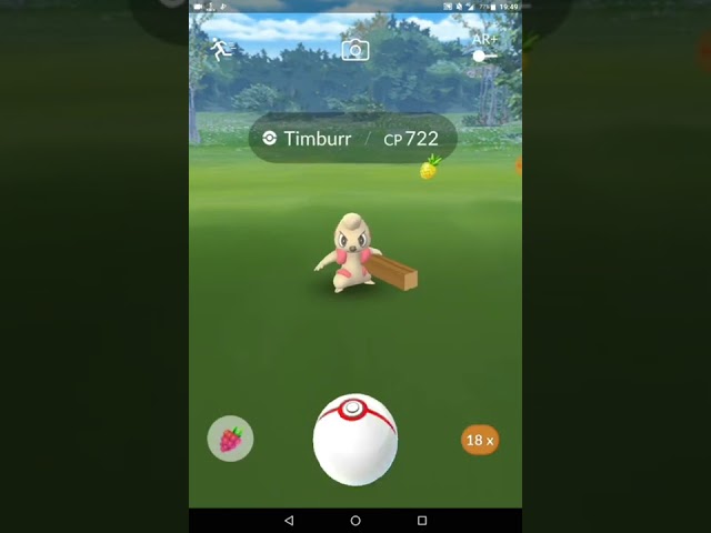 Raid tier 1 Timburr #shorts #pokémon #pokémongo #fyp #story #tiktok #viral #nvrtv #pokemon