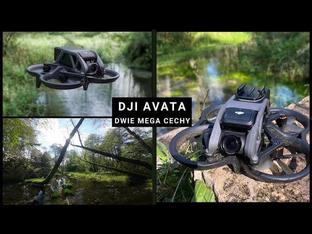 DJI AVATA - QUICK REVIEW - WHAT IT BRINGS TO THE FPV WORLD