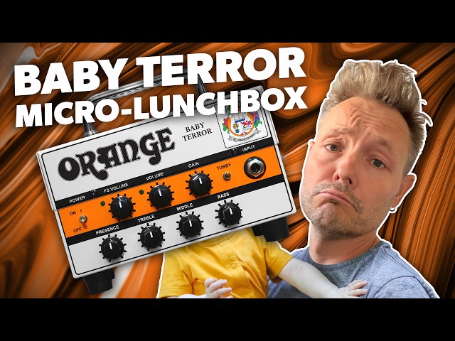 Orange Baby Terror - A Small Head With Serious Punch!