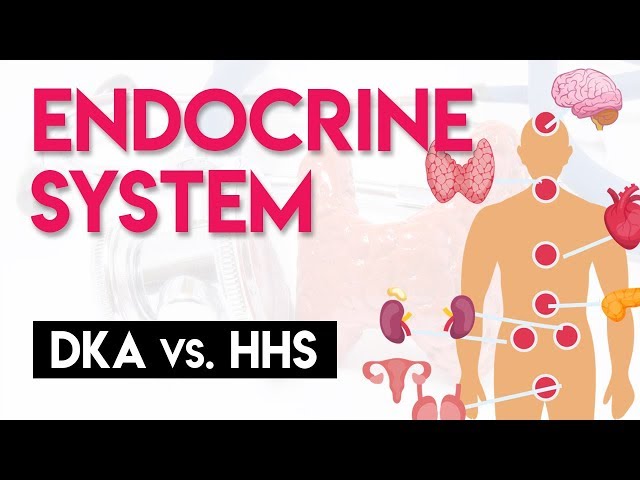 DKA vs HHS | Endocrine System (Part 4)
