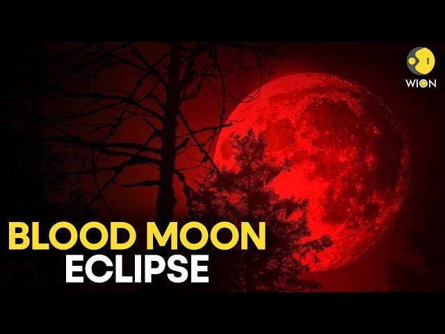 Blood Moon Alert: Sky Watchers Get Ready For The First Total Lunar Eclipse Of 2026  | WION Originals