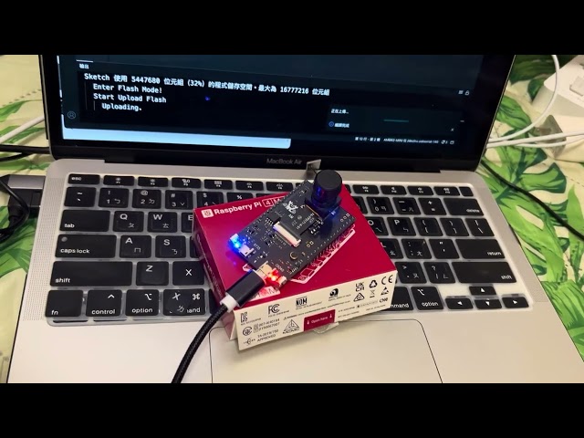 amb882- 手動燒錄模式