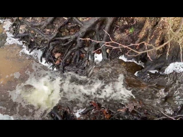 Introvert-Healing frequency Forest Healing [ Living in Swedish Nature ]