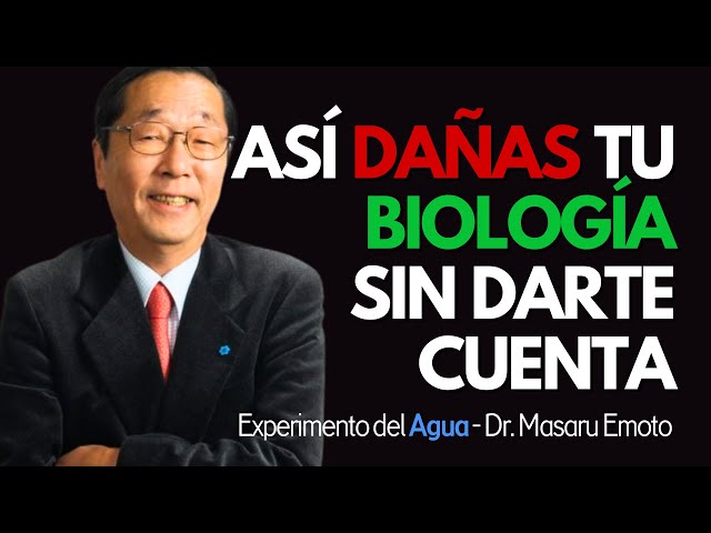 El EXPERIMENTO DEL AGUA de Masaru Emoto