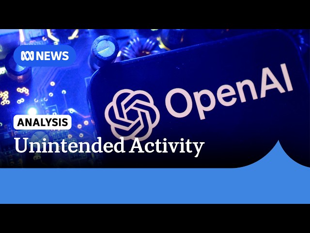 Why did it take OpenAI three months to report the Medicare hack? | ABC NEWS