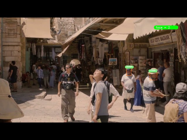 Real-Time Gender Detection with Deep Learning | Python Project   #ai #python