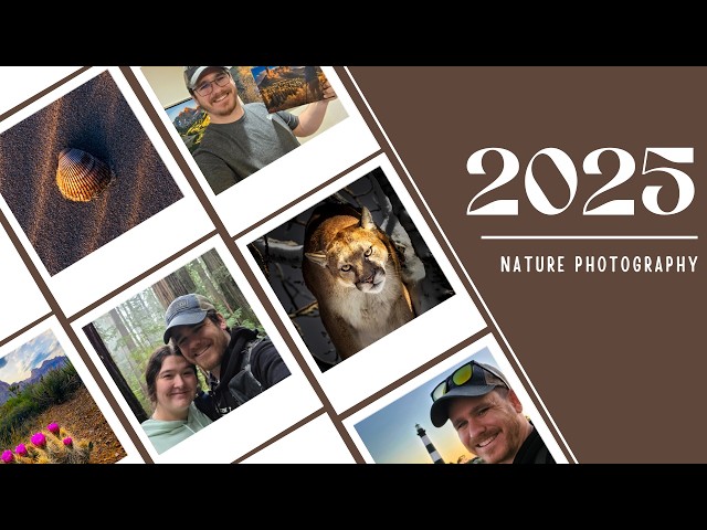 Wildlife, Landscapes & Getting Unstuck