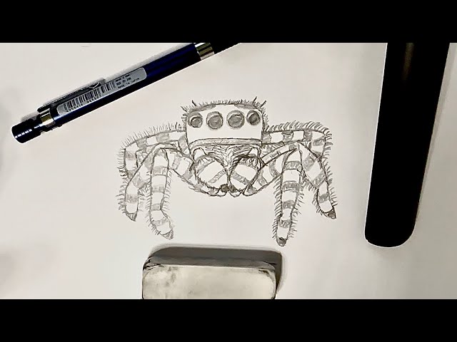 Jumping Spider Step by Step How To Draw Drawing Tutorial / Draw Along Tutorial (Fixed ReUpload)