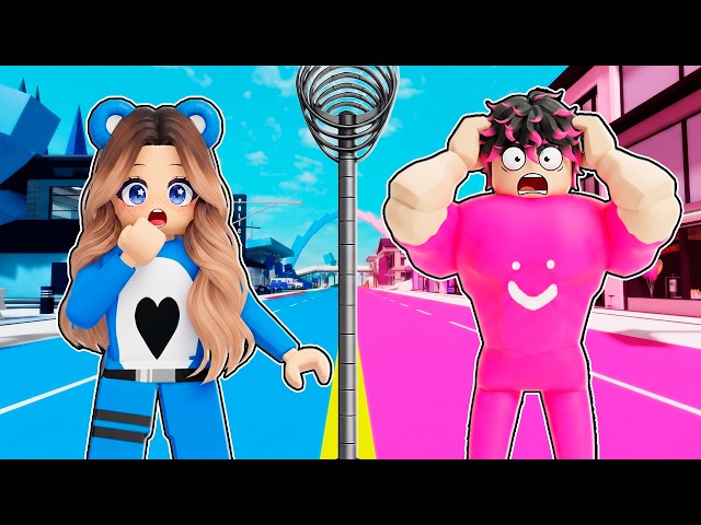 El COLOR DIVIDE BROOKHAVEN Roblox