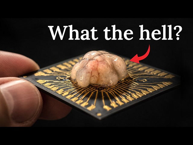 We're Not Ready for Biocomputing
