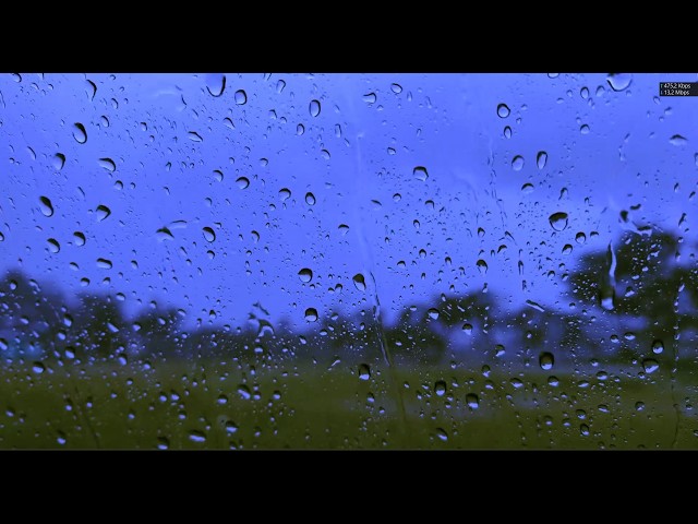 99% Instantly Deep Sleep With Soft Rain Sounds on Peaceful Forest, Guide You Into Sleep Like a Baby