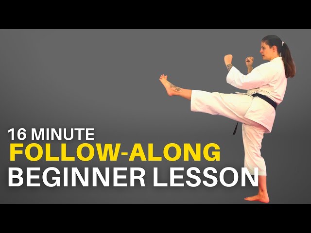 Follow Along Karate Lesson: 8 Beginner Basics to Master Now