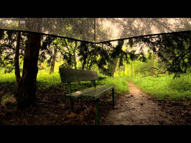 Light Rain on Umbrella - 10 Hours Video for Relaxation and Sleep