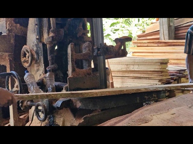 Ultimate Timber Slicing Machine: Flawless Wood Processing in Seconds!