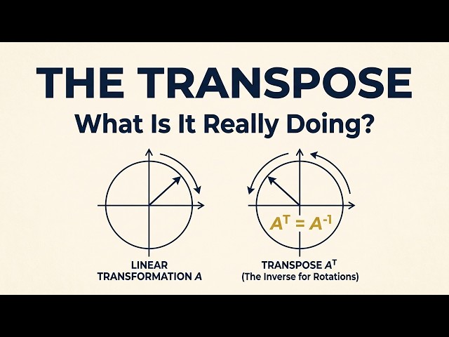 What Does Matrix Transpose Actually Do to Space?