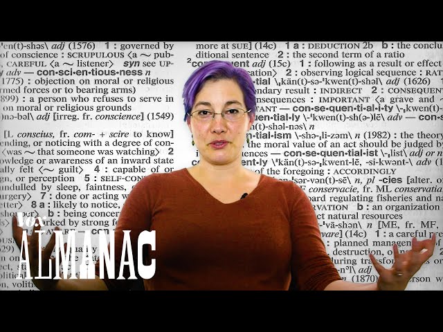 How a dictionary writer defines English