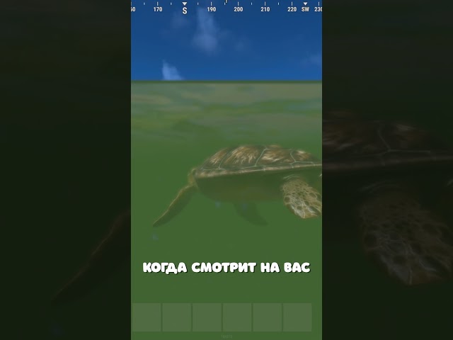 NEW ANIMAL SEA TURTLE ALREADY IN Rust? #rust