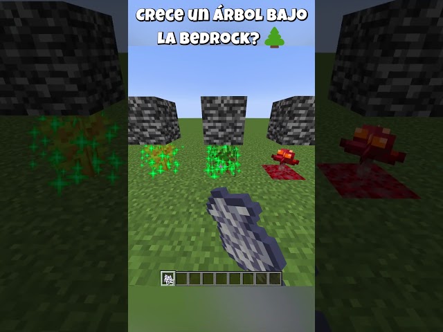 La lógica de los arboles en Minecraft no la entiendo...