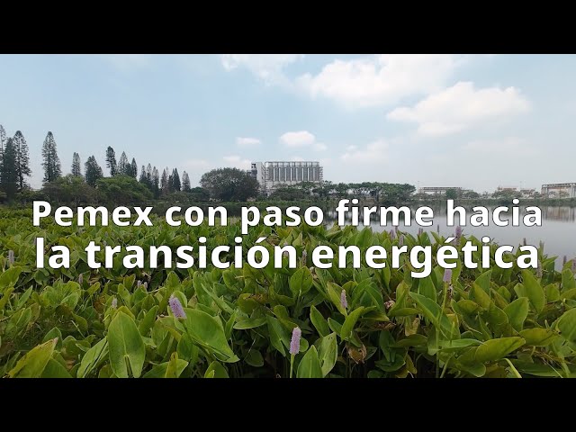 Fortalecer a Pemex es fortalecer a México. Medio Ambiente.