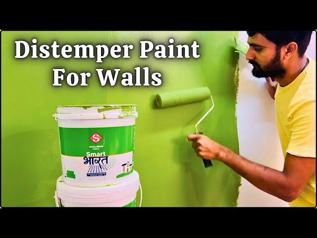 Distemper paint for wall | Best Budget Paint For Interior Walls