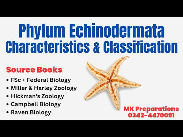 Phylum Echinodermata Characteristics, Phylogeny & Classification | Zoology & Biology Lecturer Prep.