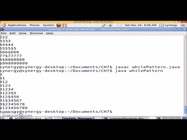 Chapter 7 While loop patterns    practical session Java Program