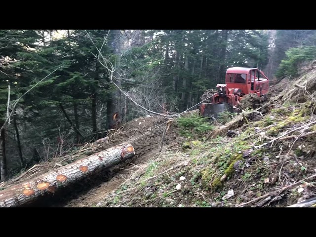 Débardage de sapin 2021  Timberjack 230D