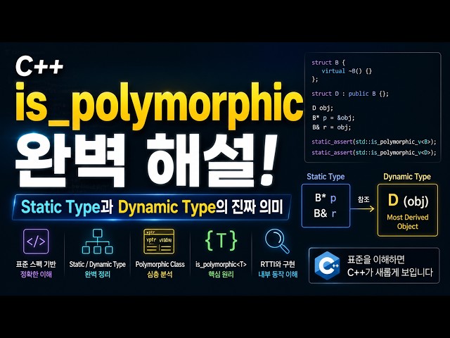 C++ is_polymorphic 완벽 해설 | Static Type과 Dynamic Type의 진짜 의미