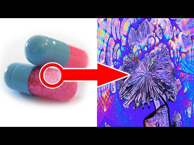 15 AMAZING Things seen Under a Microscope